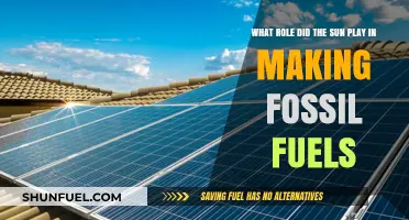 Sun's Energy: The Ancient Power Behind Fossil Fuel Formation