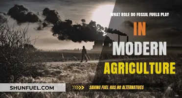 Fossil Fuels' Impact on Modern Agriculture: A Critical Analysis