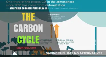 Fossil Fuels' Impact: Disrupting the Natural Carbon Cycle Balance