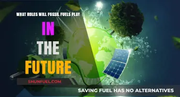 Fossil Fuels' Future Role: Transition, Decline, or Continued Dominance?