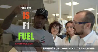 Exploring the Power Source: What Fuels Formula 1's Ron?