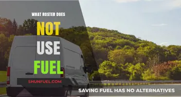 Eco-Friendly Transportation: Exploring Fuel-Free Roster Options for a Greener Future
