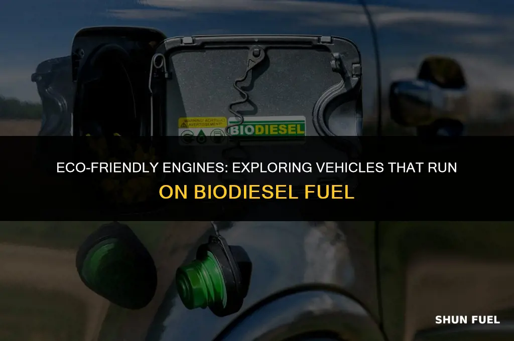 what runs on biodiesel fuel