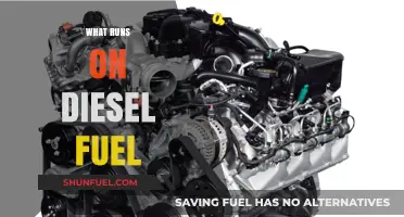 Diesel Power: What Runs on This Fuel?
