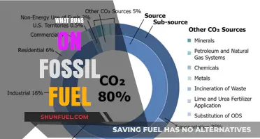 Fossil Fuels Powering Industries, Transportation, and Daily Life: What Runs on Them?