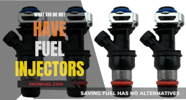 Why the S10 Misses Out on Fuel Injectors
