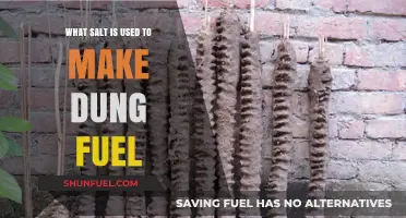 Transforming Waste: The Role of Salt in Creating Dung Fuel