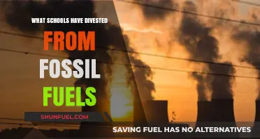 Schools Leading the Way: Divestment from Fossil Fuels in Education
