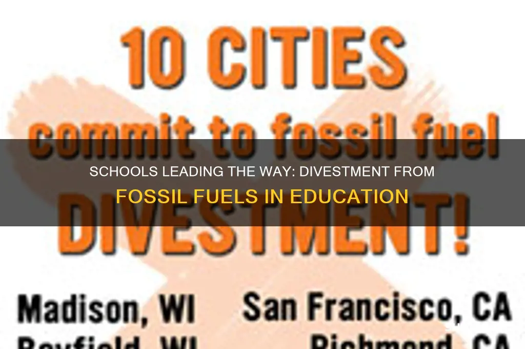 what schools have divested from fossil fuels
