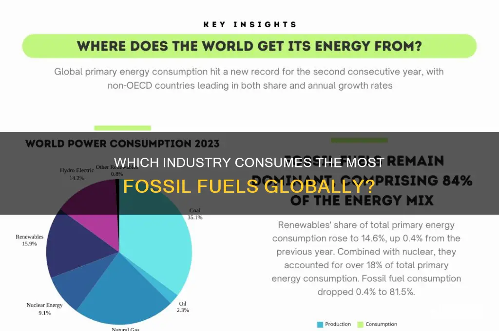 what sector uses the most fossil fuels