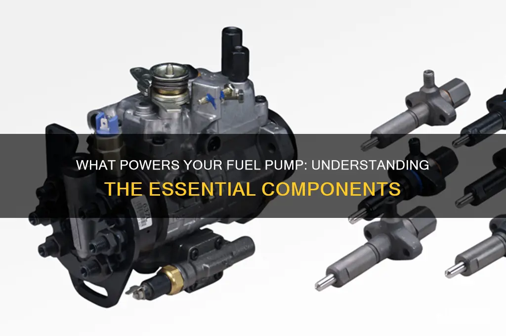 what sends power to the fuel pump
