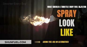 Inspecting Throttle Body Fuel Injector Spray: What's a Good Spray Pattern?