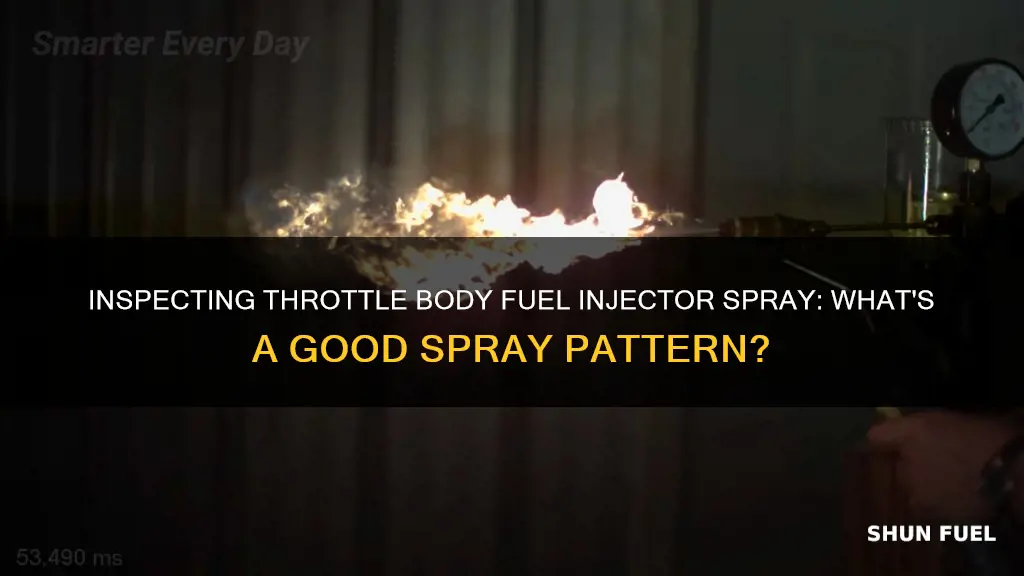 what should a throttle body fuel injector spray look like
