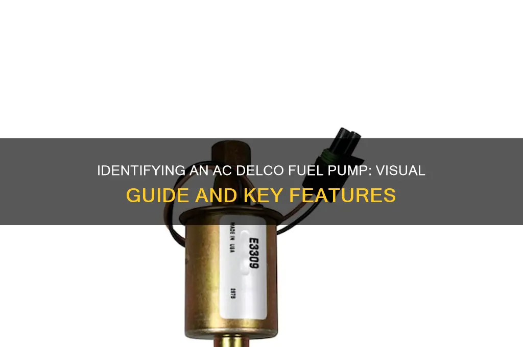 what should an ac delco fuel pump look like