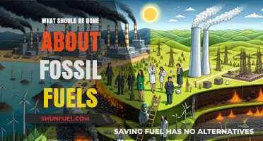 Phasing Out Fossil Fuels: Urgent Steps for a Sustainable Future