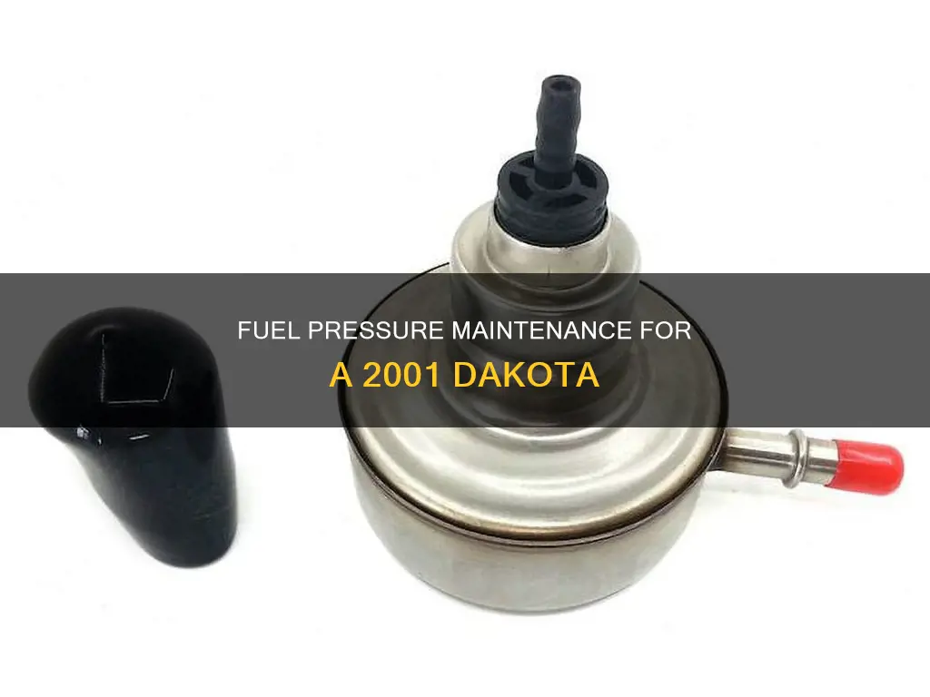 what should be the fuel pressure on a 2001 dakota