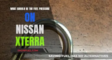 Fuel Pressure Maintenance for Nissan Xterra Owners