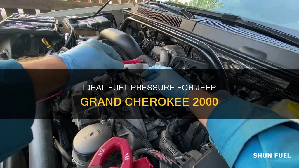 what should fuel pressure be on 2000 jeep grand cherokee3