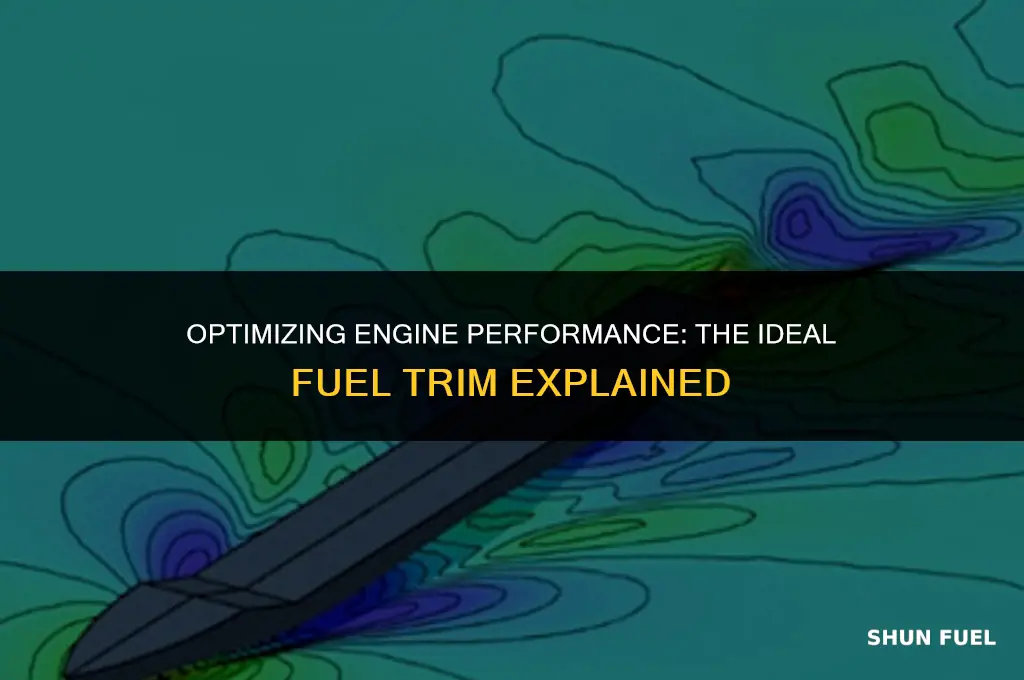 what should fuel trim be