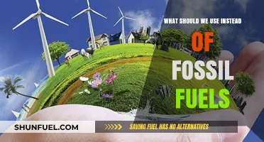 Sustainable Energy Alternatives: Replacing Fossil Fuels for a Greener Future