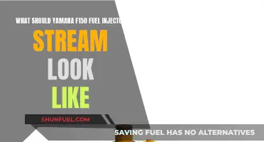 Yamaha F150 Fuel Injector Stream: What to Expect