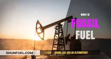 Understanding Fossil Fuels: Origins, Uses, and Environmental Impact Explained