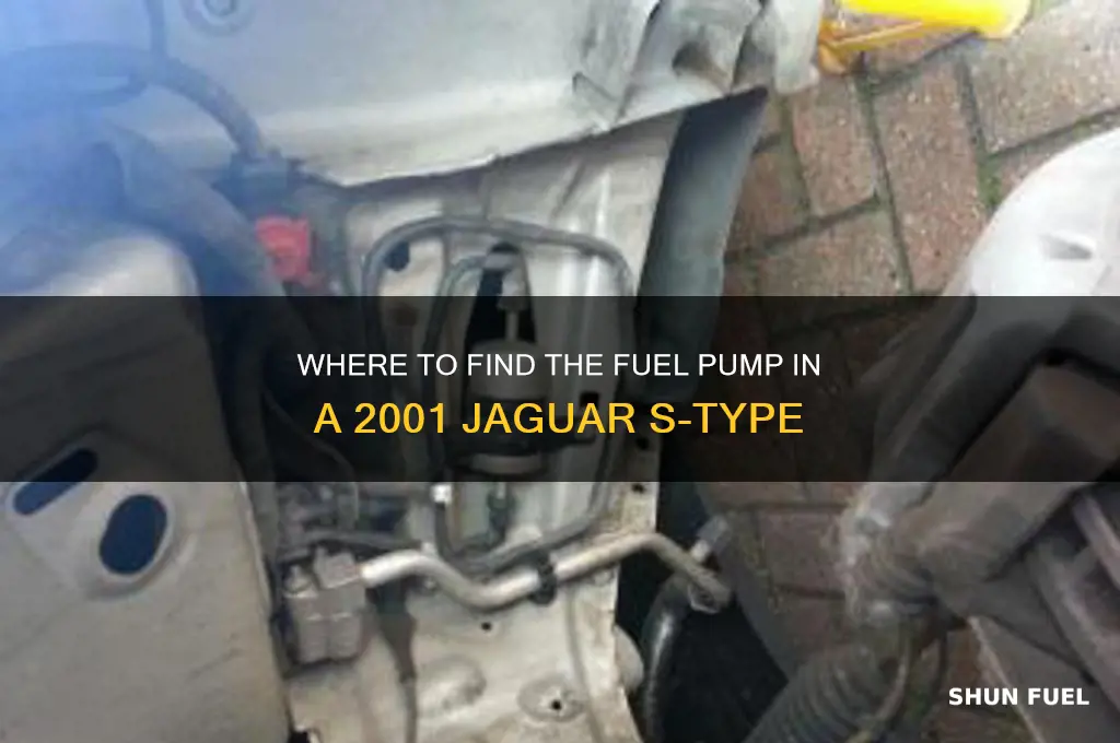 what side is 2001 jaguar fuel pump located s-type