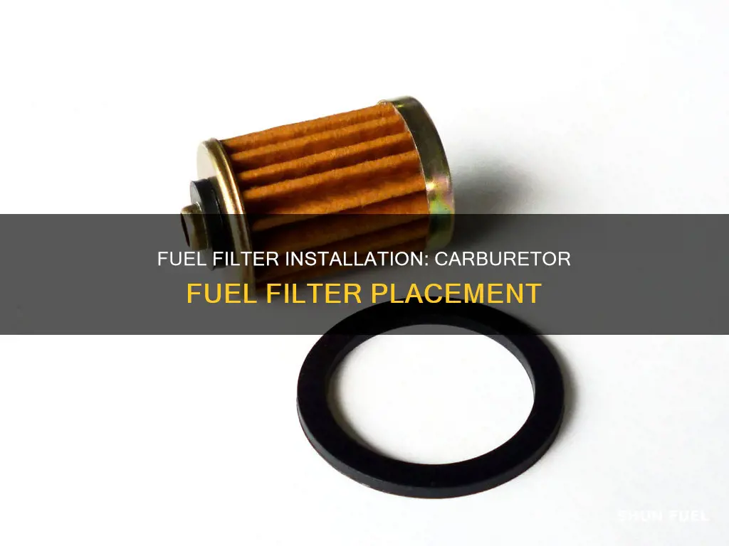 what side of carburetor does the fuel filter go in