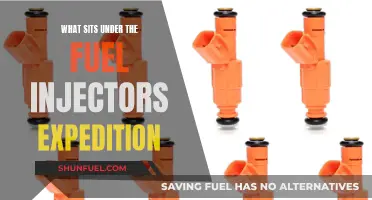 Fuel Injectors: What's Beneath and Why It Matters