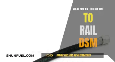 Fuel Line Sizing for Performance: DSM Rail Requirements