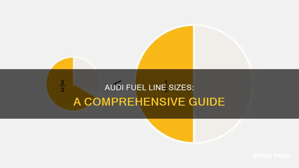 what size are audi fuel lines