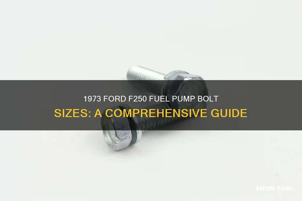 what size bolts for a 1973 ford f250 fuel pump