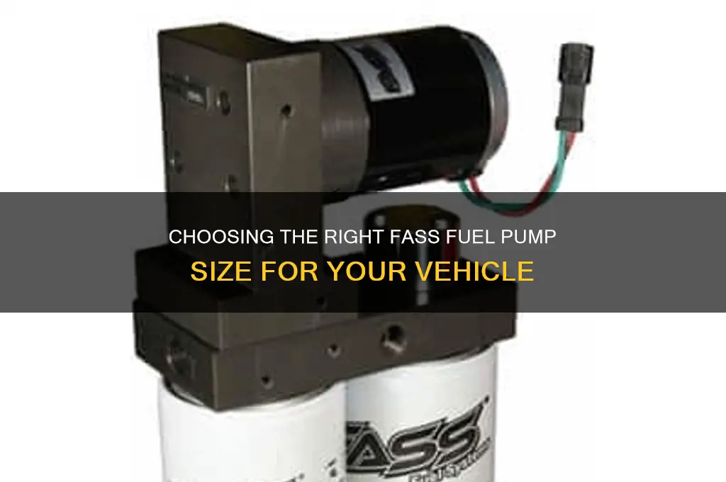 what size fass fuel pump do i need