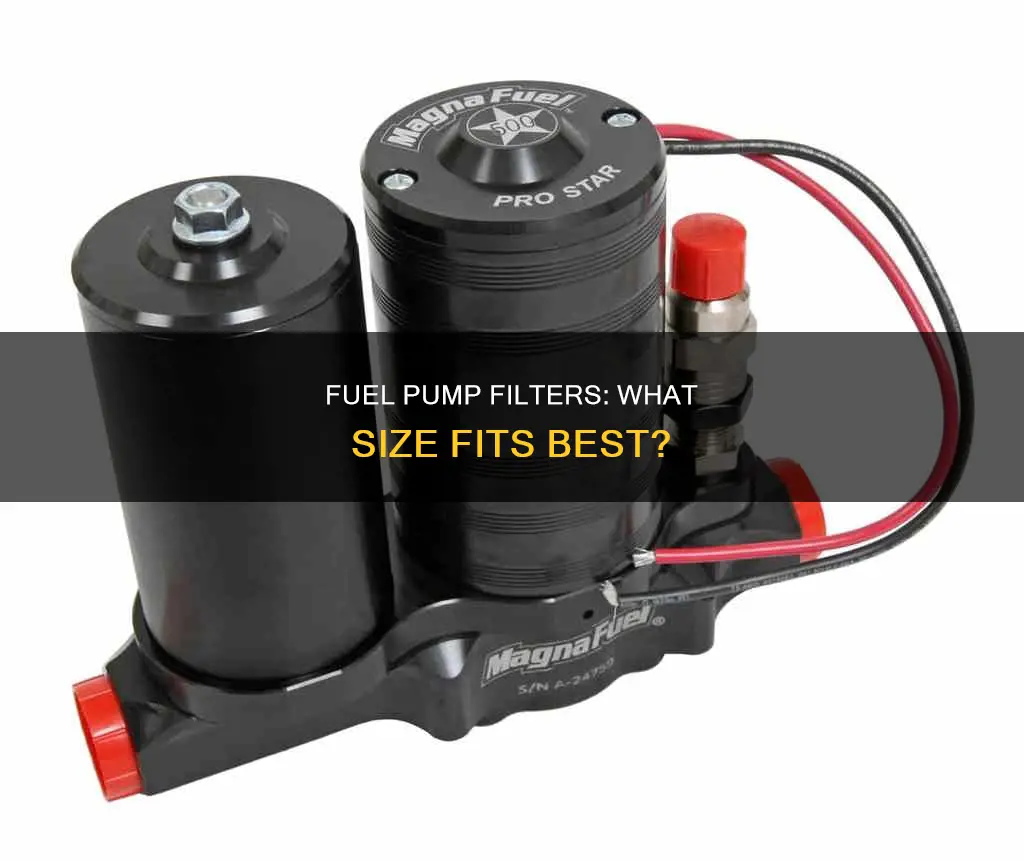 what size filter befor electric fuel pump