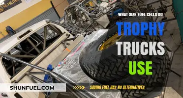 Trophy Truck Fuel Cell Sizes: What Powers These Off-Road Beasts?