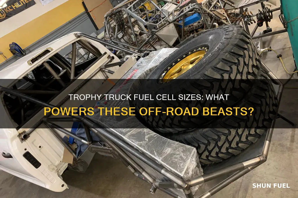 what size fuel cells do trophy trucks use