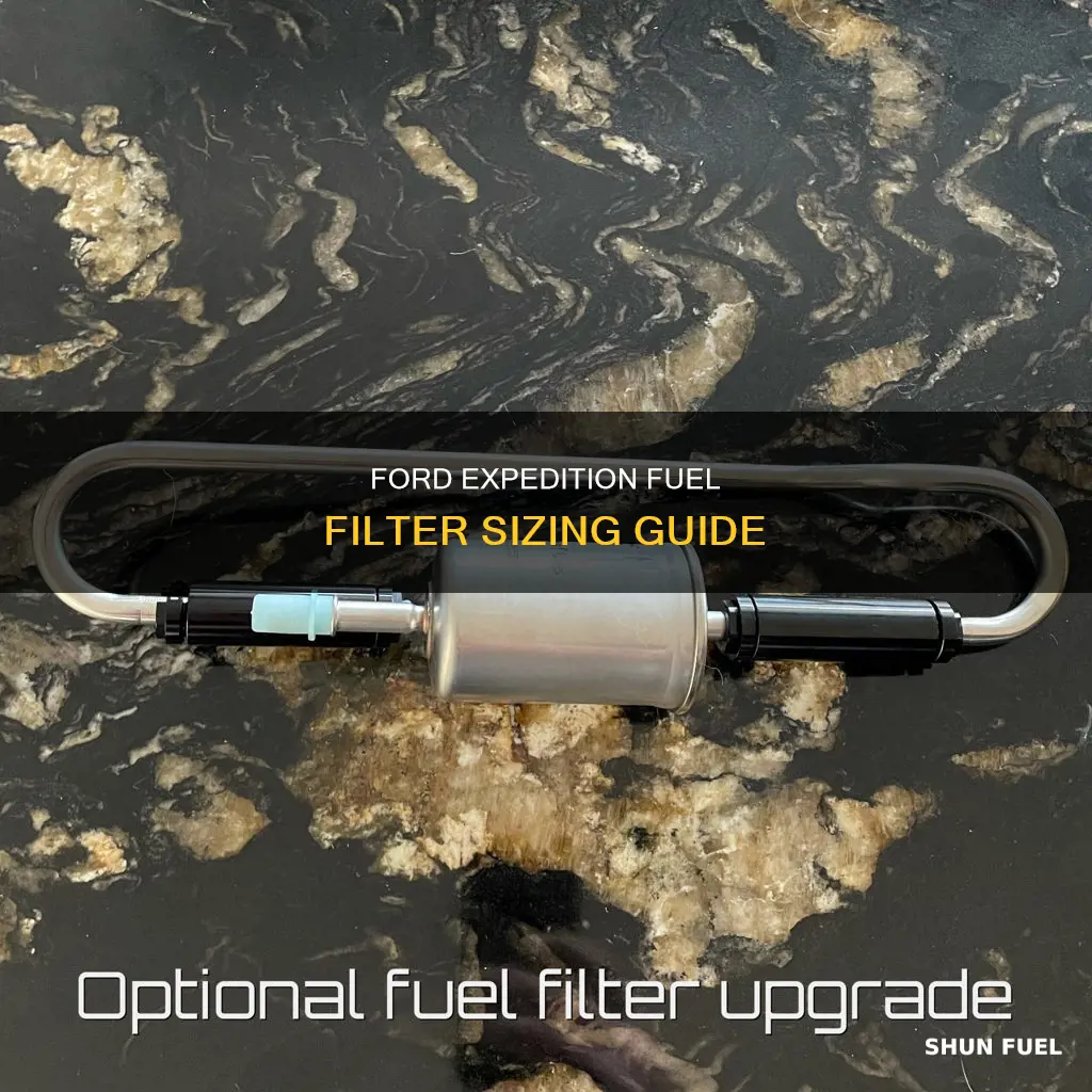 what size fuel filter for ford expedition