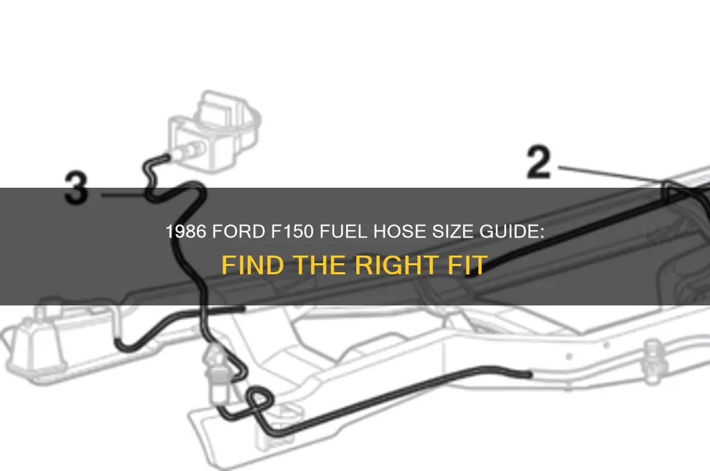what size fuel hose does 1986 f150 use