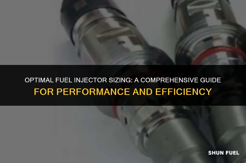 what size fuel injecotrs