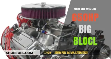 Powerful Engine Demands: Choosing the Right Fuel Line for 650HP Big Block