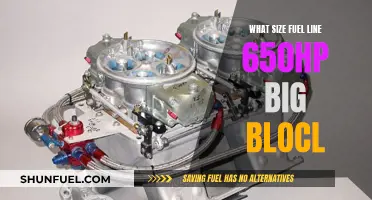 Fuel Line Size for 650HP: Big Block, Big Power