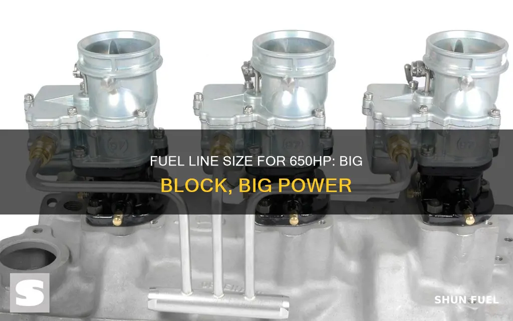 what size fuel line 650hp big blocl