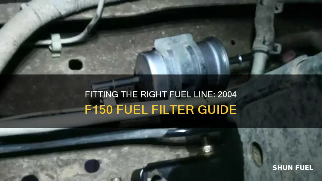 what size fuel line at filter for 2004 f150