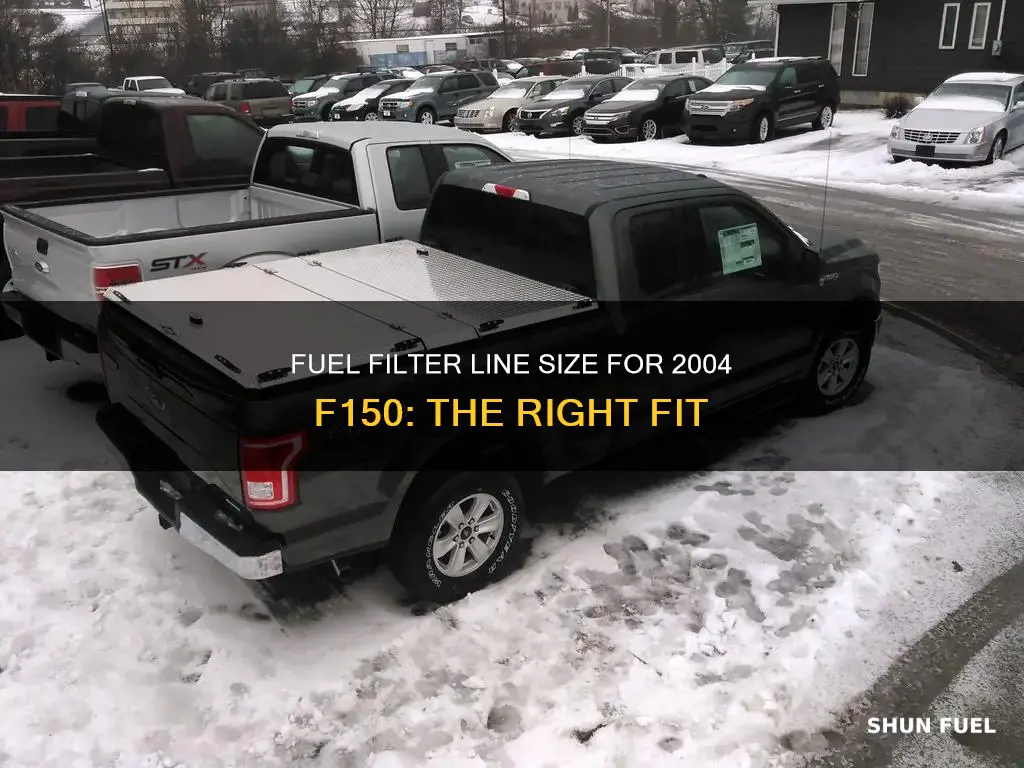 what size fuel line at filter for 2004 f150