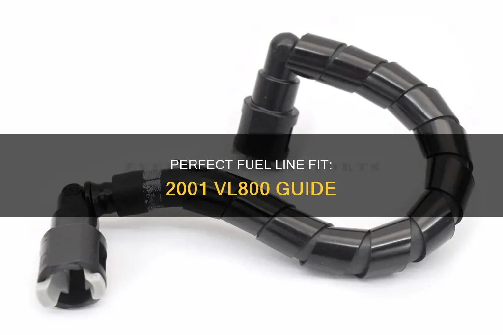 what size fuel line for 2001 vl800