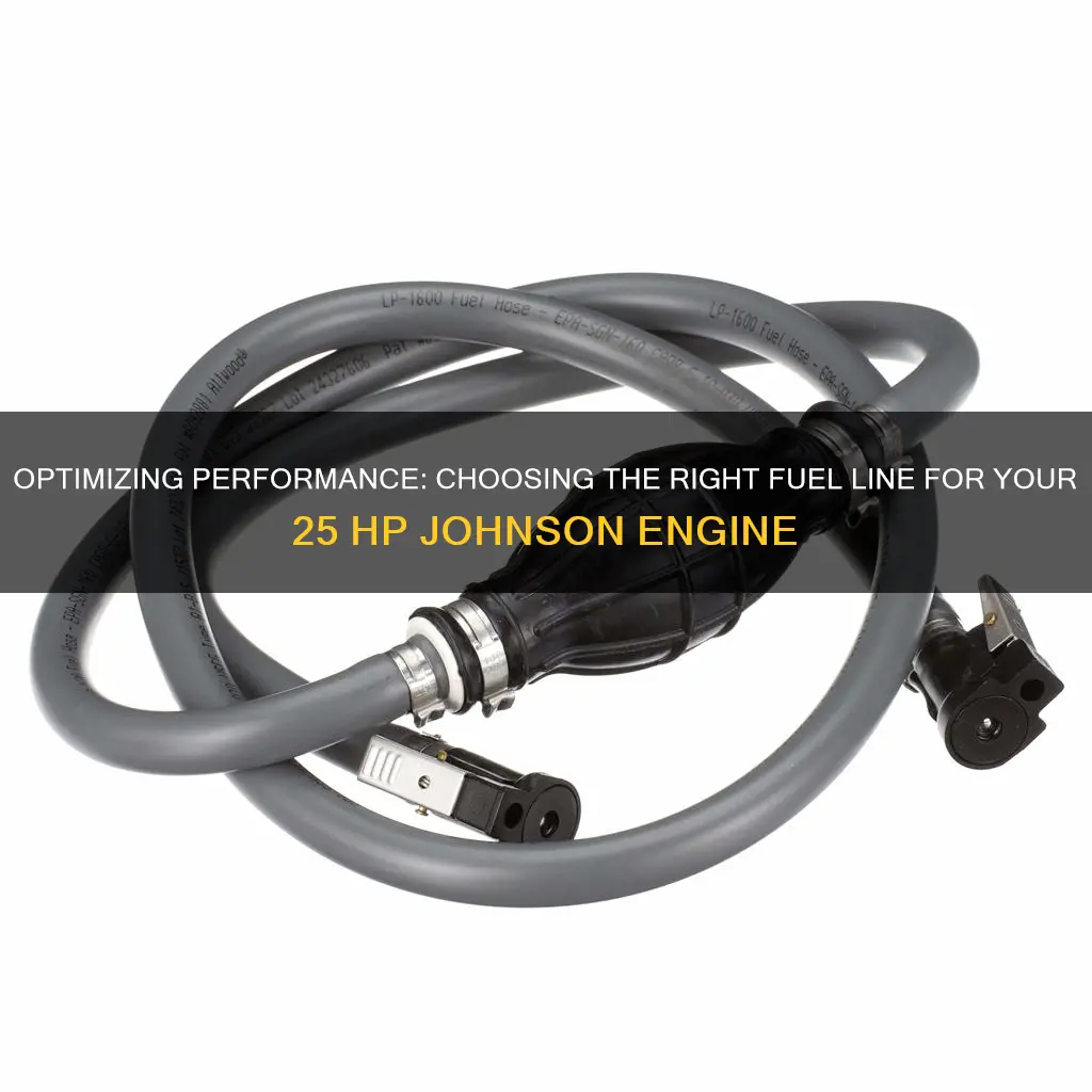 what size fuel line for 25 hp johnson