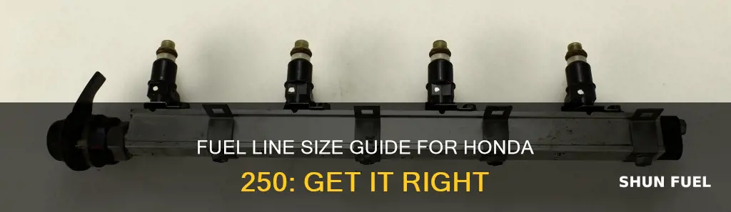 what size fuel line for honda 250