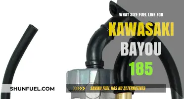 Kawasaki Bayou 185 Fuel Line Sizing Guide