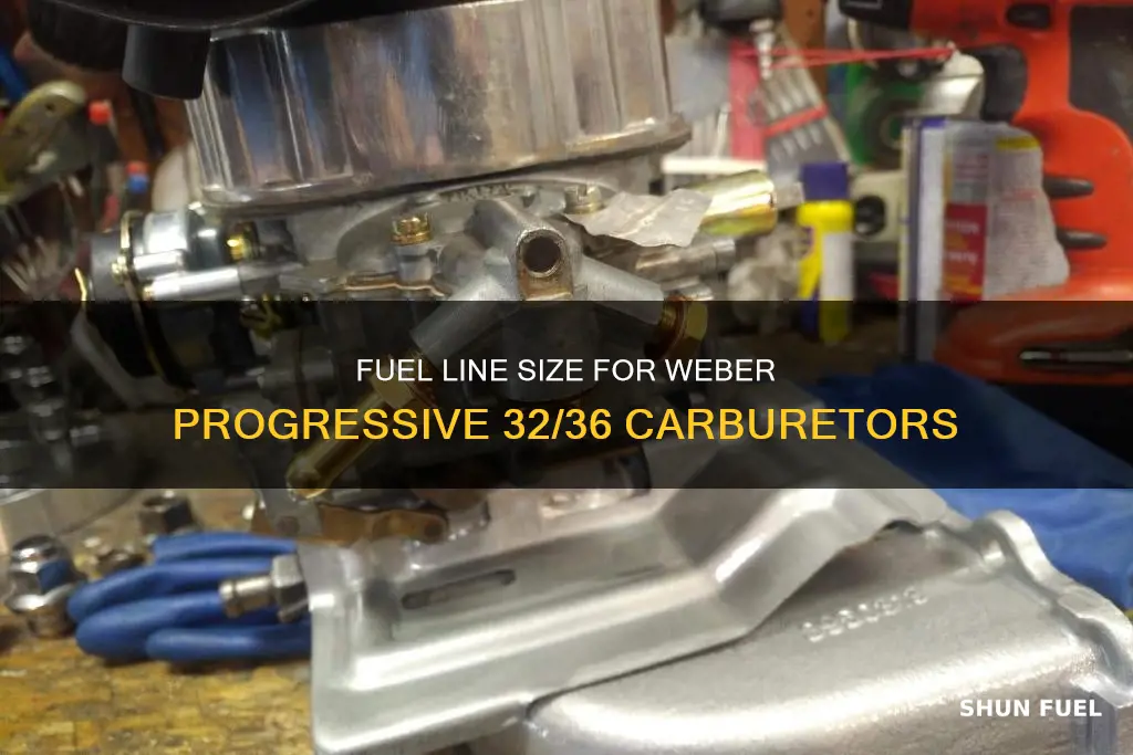 what size fuel line in weber progressive 32 36