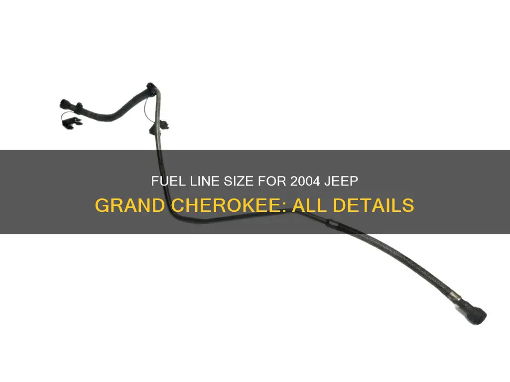what size fuel line is in 2004 jeep grand cheroker